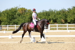 SBM_012685