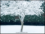 David Askham - Glimpse of Winter - Leica X Vario ISO 500 160 second f5