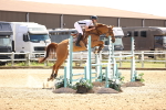 SBM_001880