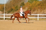 SBM_008785