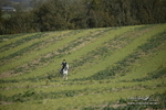 PtP 250921 052