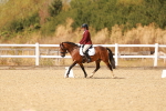 SBM_018634