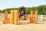SBM_006991
