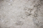 SBM_007139