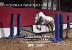 BPP_2697
