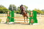SBM_000551