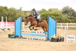 SBM_007350