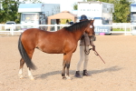 SBM_08640