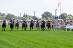 220826-Race 5-Sondad-1064