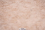 240505A-170758-07298