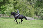 WJ6_3469