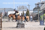 BPP_1364