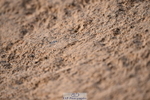 231101A-120136-00202