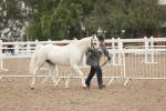 SBM_08489