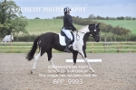 BPP_9993