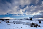 Beacons in the Snow