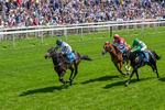 230526-Race 2-Possessive-0360