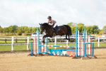 SBM_000283