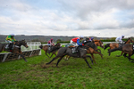 161125-Race 5-Helnwein-6356