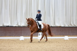 SBM_001013