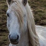 Scotland - 014