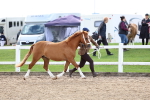 SBM_02445