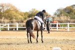 SBM_009135