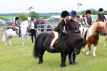 SBM_08350