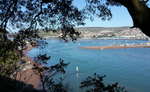 TS38 -Early morning on the coast path at Shaldon