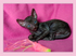 Coco 3 weeks - 1