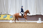 SBM_000601