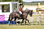 SBM_18583