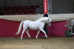 SBM_04929