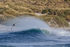 Giant Petrel skims breaking wave, Sea Lion Island