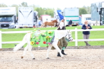 SBM_02704