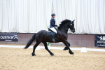SBM_004163