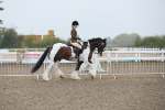 SBM_19854
