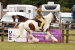 SBM_06206