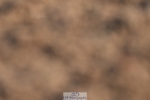 260626-191410-01161