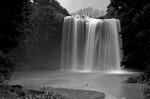Whangarei falls