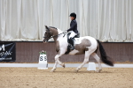 SBM_006310