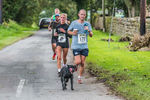 Acorn bank-263
