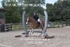 BPP_8288