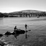 Crabbing, Swanage
