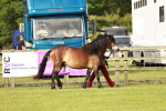 SBM_00425