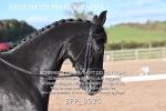 BPP_8925