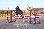 BPP_0825