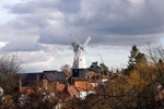 Cranbrook