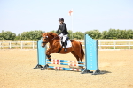 SBM_000738