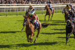 141023-Race 3-Montassib-0413